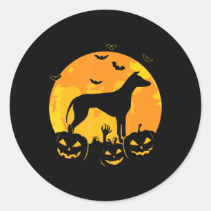 halloween greyhound jack lantern puppy pumpkin classic round sticker