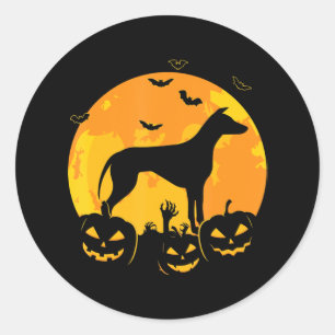 Halloween Greyhound Jack   Lantern Puppy Pumpkin Classic Round Sticker