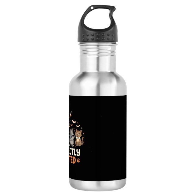 Halloween Haunted Cat Crew 532 Ml Water Bottle (Front)