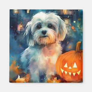 Halloween Havanese With Pumpkins Scary Magnet