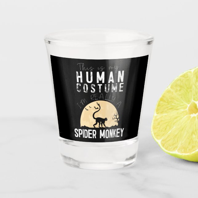 Halloween Human Spider Monkey Creepy Horror Shot Glass (Front)
