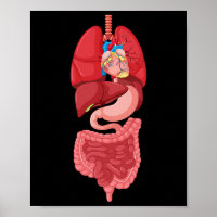 Halloween Internal Organ Diagram Anatomy