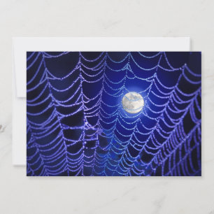 Halloween Invitations