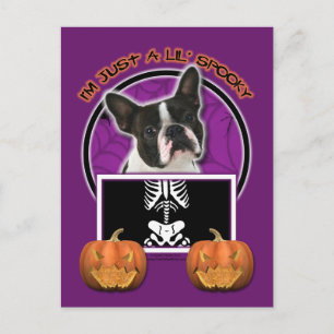 Halloween - Just a Lil Spooky - Boston Terrier Postcard