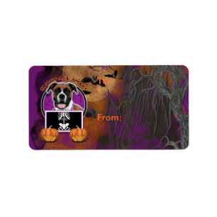 Halloween - Just a Lil Spooky - Boxer - Vindy Label