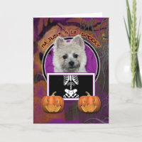 Halloween - Just a Lil Spooky - Cairn - Teddy Bear