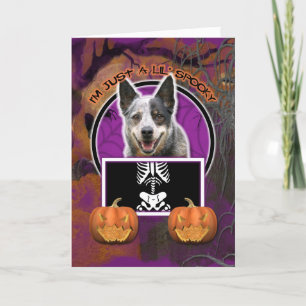 Halloween - Just a Lil Spooky - Cattle Dog Card