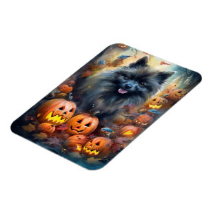 Halloween Keeshond With Pumpkins Scary Magnet