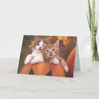 Halloween Kitties Card