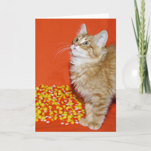 Halloween kitty card (Front)