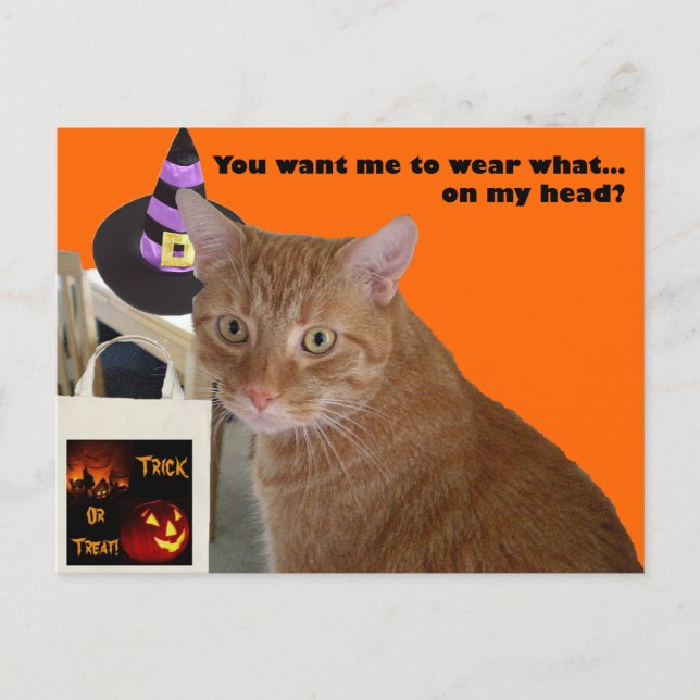 Halloween Kitty - Wear What Postcard (Front)