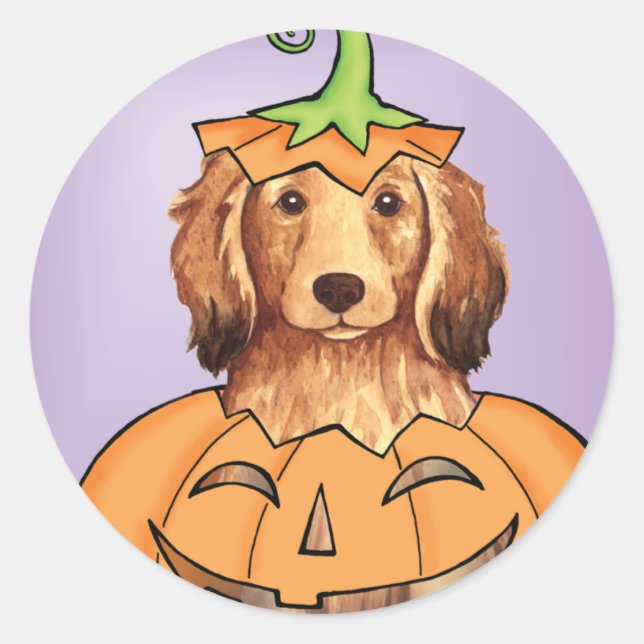 Halloween Longhaired Dachshund Classic Round Sticker (Front)