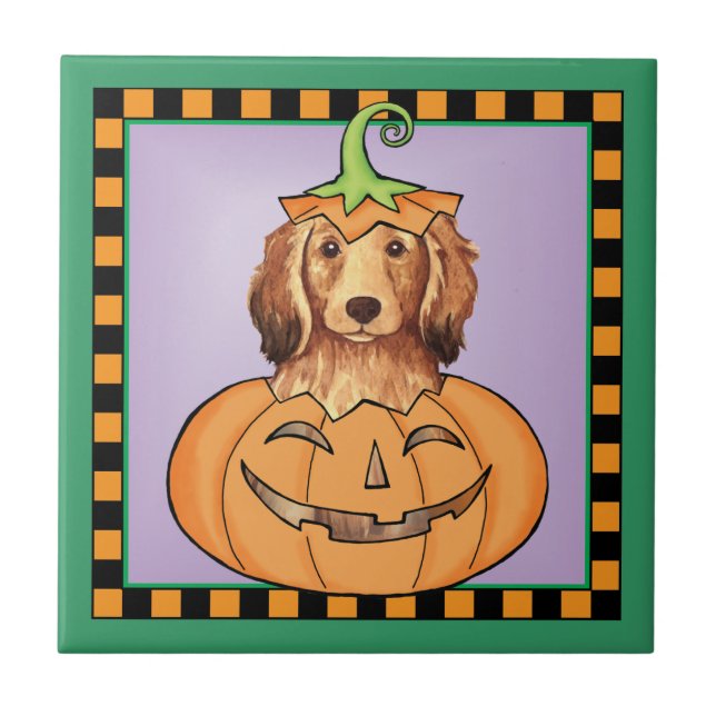 Halloween Longhaired Dachshund Tile (Front)