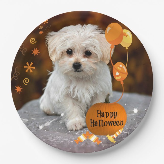 Halloween, Maltese Puppy,  Paper Plate (Front)