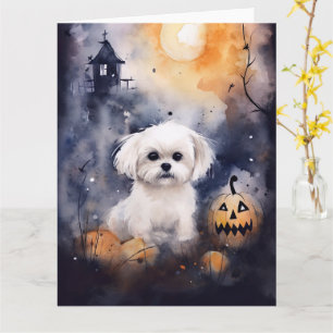 Halloween Maltese With Pumpkins Scary  Card