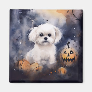 Halloween Maltese With Pumpkins Scary  Magnet