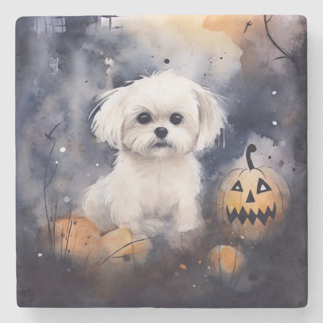 Halloween Maltese With Pumpkins Scary  Stone Coaster (Front)