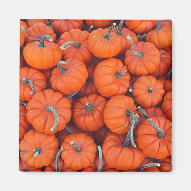 Halloween Mini Pumpkin Fall Autumn Pattern Photo Magnet (Front)