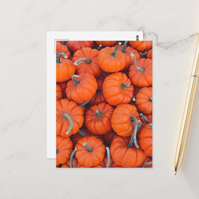 Halloween Mini Pumpkin Fall Autumn Pattern Photo Postcard (Front/Back In Situ)