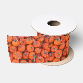 Halloween Mini Pumpkin Fall Autumn Pattern Photo Satin Ribbon