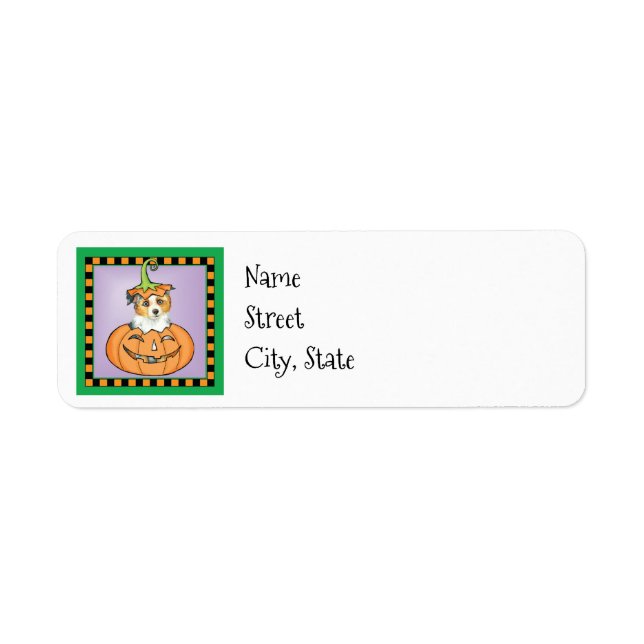 Halloween Miniature American Shepherd (Front)