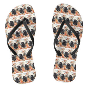 Halloween Newfoundland With Pumpkins Scary  Jandals