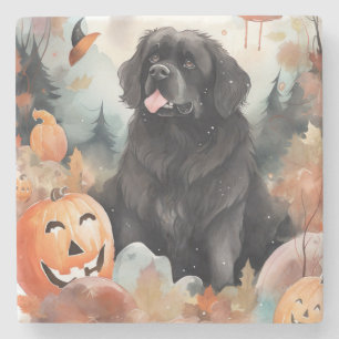 Halloween Newfoundland With Pumpkins Scary  Stone Coaster