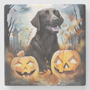 Halloween Nova Scotia With Pumpkins Scary Stone Coaster