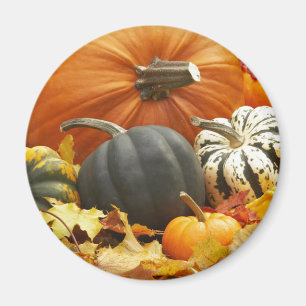 Halloween October Decoration Magnet