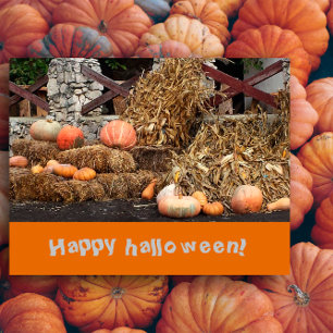 Halloween Orange pumkin rustic Postcard