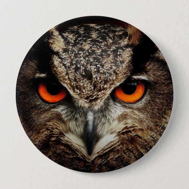 Halloween Owl Button Pin (Front)