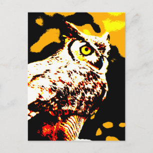 Hallowe'en Owl Postcard