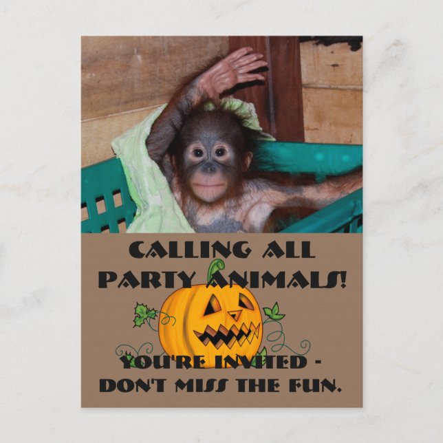Halloween Party Animals Invitation Postcard (Front)