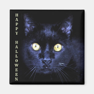 Halloween Party Scary Black Cat Horror Dark Night Magnet