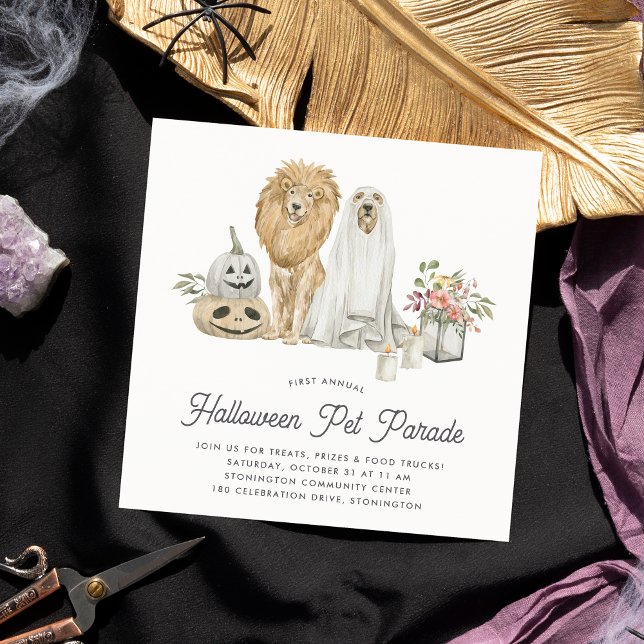 Halloween Pet Parade Invitation (Creator Uploaded)