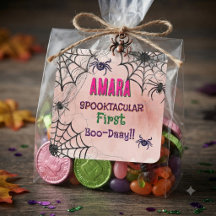 Halloween Pink and spiders Birthday Halloween