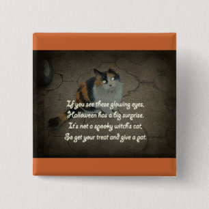 Halloween Poem - Calico Cat 15 Cm Square Badge