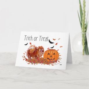 Halloween Pomeranian Card