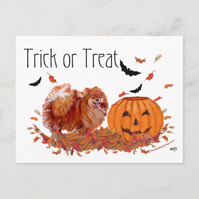 Halloween Pomeranian Postcard (Front)