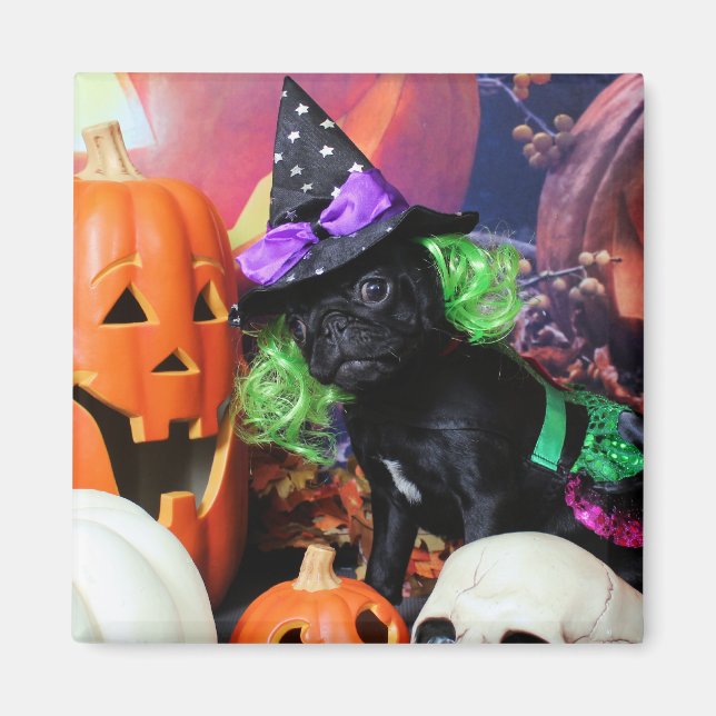 Halloween - Pug - Daisy Mae Magnet (Front)