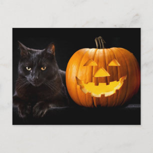 Halloween pumpkin and black cat postcard