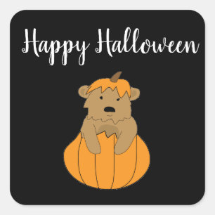 Halloween Pumpkin Bear Stickers