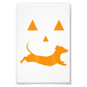 Halloween Pumpkin Dachshund Jack-O-Lantern  Costum Photo Print