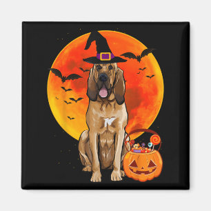 Halloween Pumpkin Dog Saint Hubert Dog Magnet