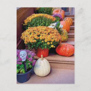 Halloween Pumpkin Stairs New York Postcard NYC