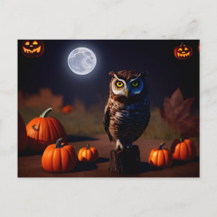 Halloween pumpkins and owl at night. Cruel. Postcard