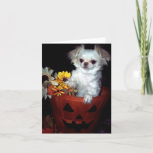Halloween Puppy Card
