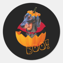 Halloween sausage dog pumpkin