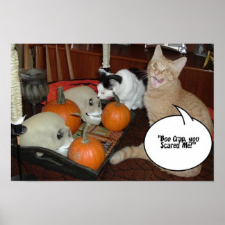 Halloween Scary Cats Poster