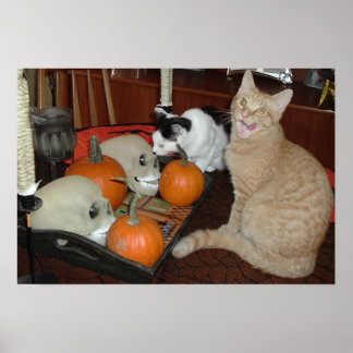 Halloween Scary Cats Poster